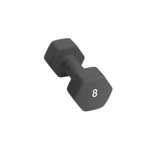 Abilica Dumbbell 8 Kg