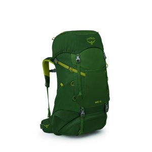 Osprey Ace 38