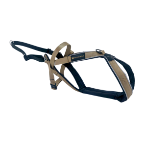 VIP Multisport Sele (Signature Gold)